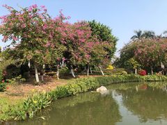 -海珠湖公园