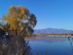-野鸭湖国家湿地公园