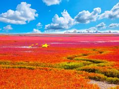 -红海滩国家风景廊道
