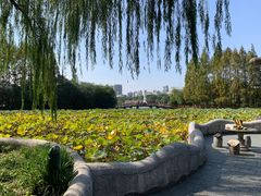 -黄兴公园