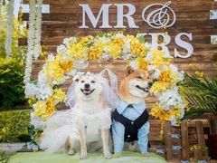 -崇明金茂凯悦酒店.宴会厅