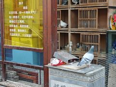 -牛街·马辈儿涮肉(牛街总店)