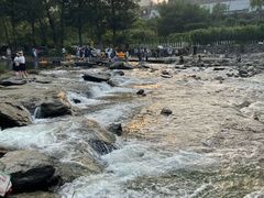-白河湾生态旅游一条川