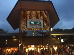 -夜间野生动物园