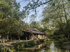 -合肥滨湖国家森林公园