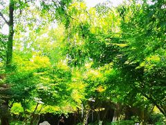 -东湖景区