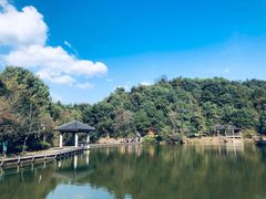 -千岛湖东南湖区