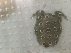 -宠物世家(仲盛世界商城店)