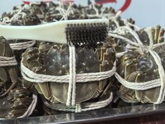 -渔娘蟹庄(阳澄湖莲花岛店)