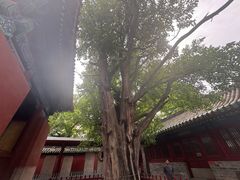 -北京国子监胡同