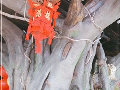-最品火锅