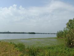 -南湖湿地公园