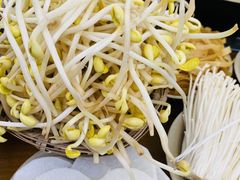 -阳阳老火锅(小南门店)