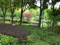 android_upload_pic-陈家山荷花公园