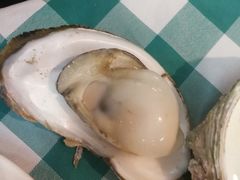 原味炊生蚝-豪园台山碳烧生蚝(蓬江江华店)