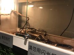 -打趸BTC·Breaktime cafe(北京路店)