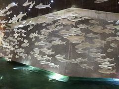 -三亚中亚国际大酒店
