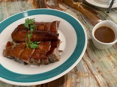 -椿记烧鹅(叠彩店)