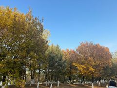 -莫子山公园