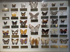 -上海昆虫博物馆