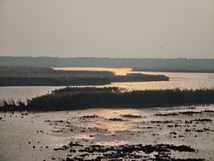 -盐城丹顶鹤湿地生态旅游区