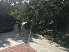 -厦门悦华酒店