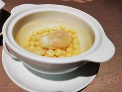 杏仁鸡头米-荣轩(新荣记环球金融中心店)