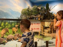 -广东中医药博物馆