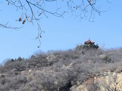 -白水寺森林公园