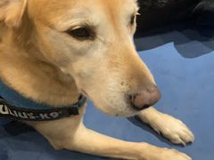 -尽峰攀岩 Acme Climbing