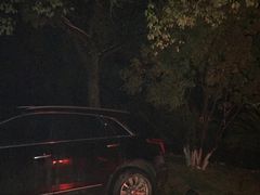 -庐山天沐温泉度假村-停车场