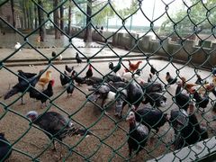 -南京金牛湖风景区