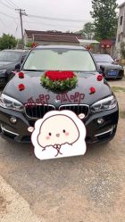 -蚂蚁婚车