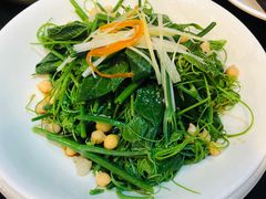 清炒南瓜尖儿-巴依老爷新疆美食(远洋未来汇购物中心店)