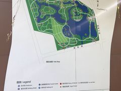 游乐设施-大兴滨河森林公园