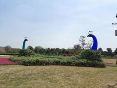 -扬州芍药园(仪征市)