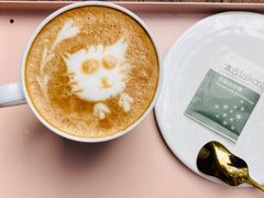 -喵屿·大理花园猫咖