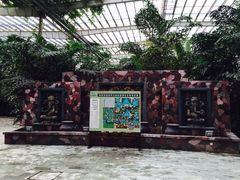 iphone_upload_pic-龙达温泉生态城