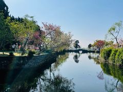 -无锡蠡湖国家湿地公园-蠡园