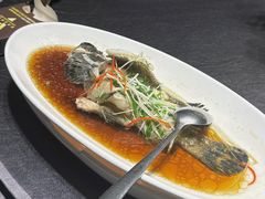 -骏莱海鲜鱼港(五角场店)