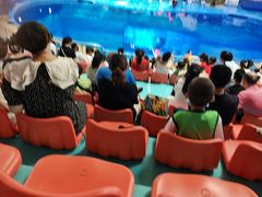 -多彩贵州城极地海洋世界