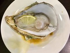 生蚝-酉泽屋刺身三文鱼寿司主题餐厅(望馨商业中心店)