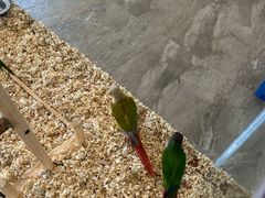 -南宫五洲植物乐园