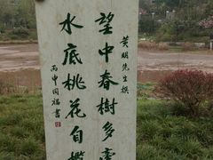 -重庆彩云湖湿地公园