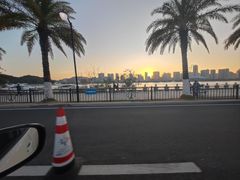 -野狸岛