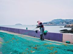 -枸杞岛