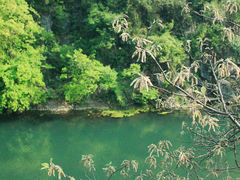 -阿哈湖国家湿地公园