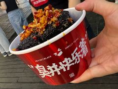 -黑色经典臭豆腐·湖南特产(坡子街店)