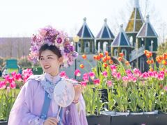 -荷兰花海
