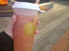 -树夏(鹭洲里店)